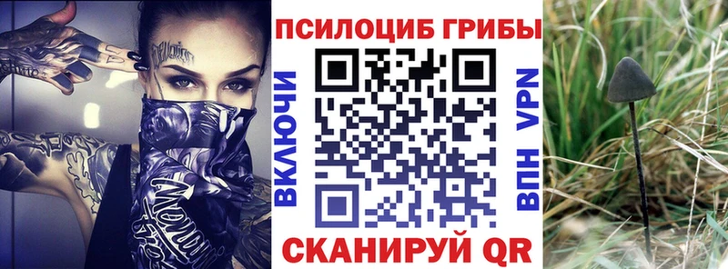 наркошоп  Тихвин  дарк нет состав  Псилоцибиновые грибы GOLDEN TEACHER 