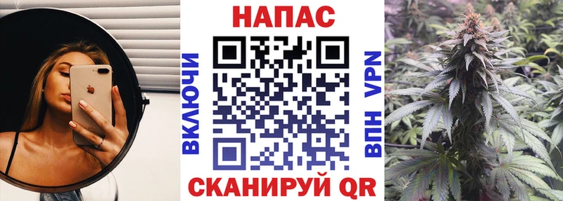 хочу наркоту  Тихвин  Бошки марихуана сатива 